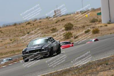 media/May-03-2025-Lucky Dog Racing (Sat) [[206de64b9d]]/Turn 6 (150pm-230pm)/